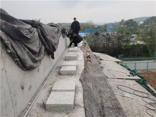 微信圖片_20250109161421.png 微信圖片_20250109161421.png